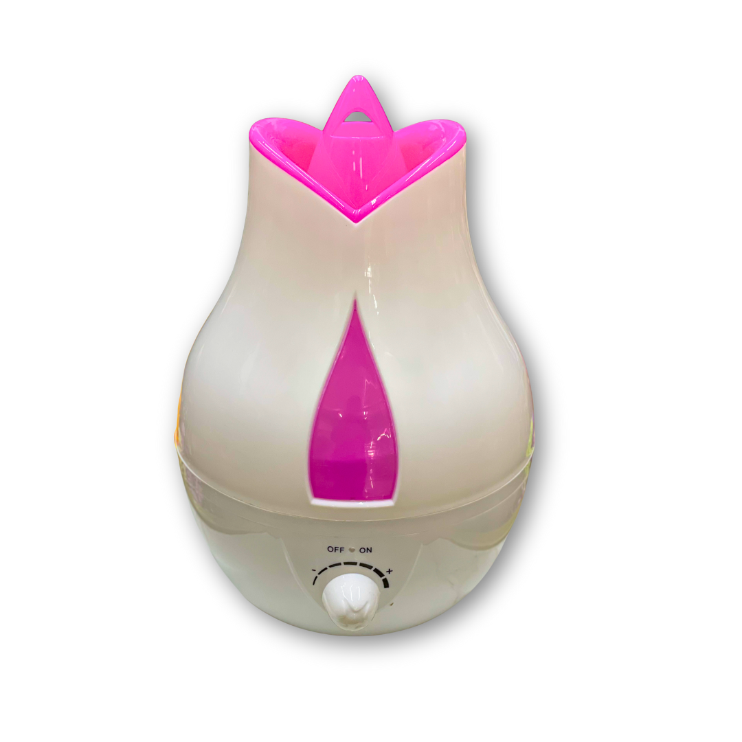 Humidificador Decorativo Moderno XY-11