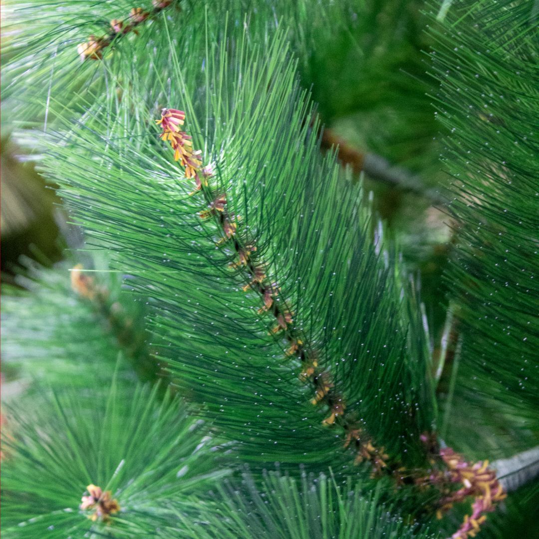 Árbol de navidad LONDRES