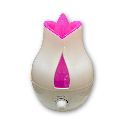 Humidificador Decorativo Moderno XY-11