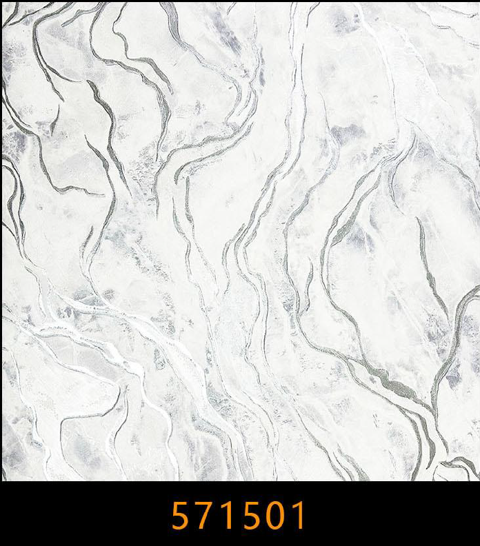 Papel de colgadura 571501