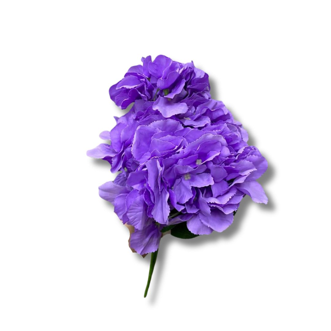 Ramo de Flores Peonia